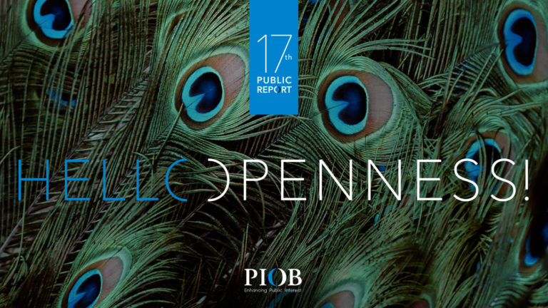 piob 17 public report cover